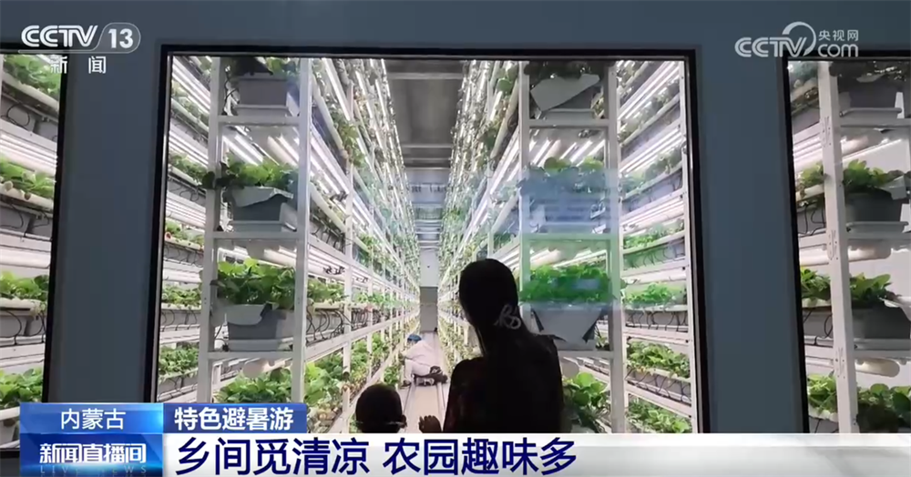 
中南大学湘雅三医院西京医院于瑞医生黄牛预约代挂号电话特色避暑游激活夏日“凉资源” 点燃暑期文旅消费市场“热经济”