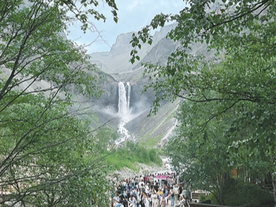 以高水平保护推进林草高质量发展