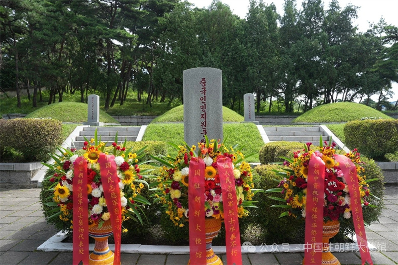 
中国中医科学院广安门医院关念波医生黄牛预约代挂号电话中国驻朝鲜使馆祭扫兄弟山中国人民志愿军烈士陵园