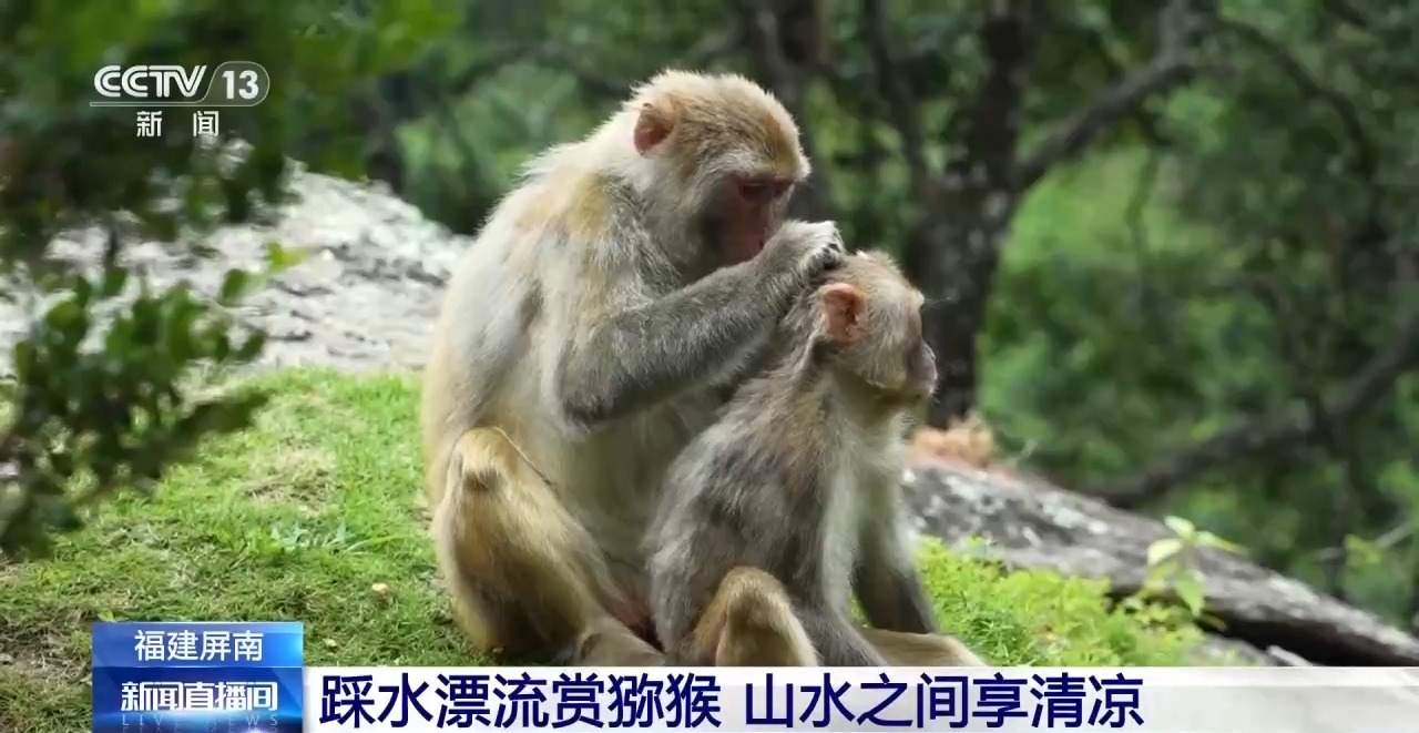 
中南大学湘雅医院王延金袁健张卫茹杜小平吴新华黄牛挂号电话消暑旅游热度攀升 宝藏打卡地带你解锁清凉一夏