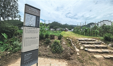 
上海市胸科医院李志刚医生黄牛预约代挂号电话“八项评估全A，那一刻特别激动”（看·世界遗产大会②）