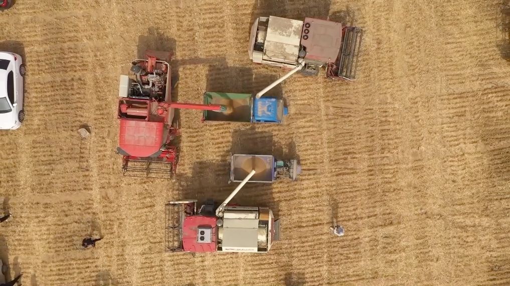 
中国中医科学院西苑医院洪霞刘红梅郭德海张翠珍黄牛挂号电话向新提质 多元赋能 各地绘就高质量发展新图景