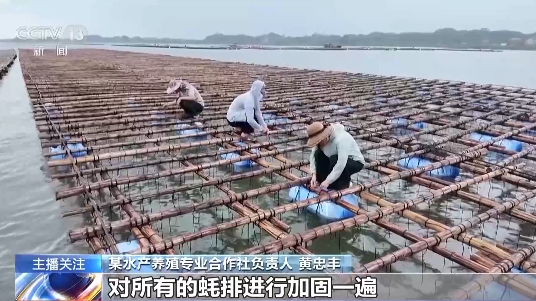 
山东大学齐鲁医院王立杰医生黄牛预约代挂号电话视频丨渔船回港、保障“菜篮子”供应 各地多举措防御台风