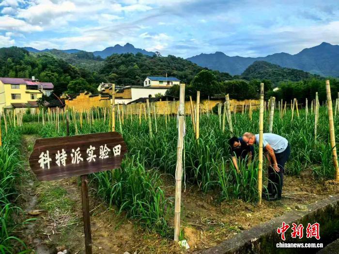 
南方医科大学南方医院冯传波医生黄牛预约代挂号电话在骑行中认识中国：“洋特派员”赞叹中国的“甜蜜奇迹”丨世界观