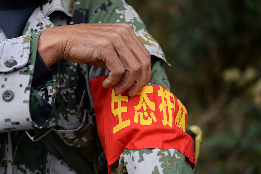 
南方医科大学第三附属医院黄牛号贩子票贩子代网上预约代挂号电话学习进行时｜“人不负青山，青山定不负人”