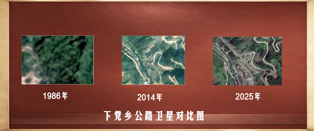 北京大学第六医院孙黎医生黄牛预约代挂号电话时政镜距离|下党之路