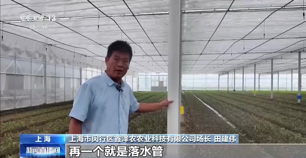
北京大学第一医院姜玉武医生黄牛预约代挂号电话台风天“菜篮子”供应有保障 浙沪生活必需品储备充足