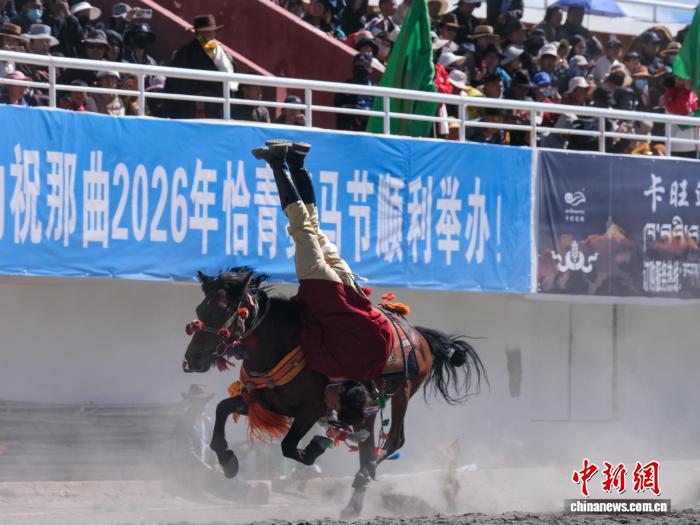 
山东中医药大学附属医院杨传华医生黄牛预约代挂号电话西藏那曲赛马节上演“马背上的角逐”