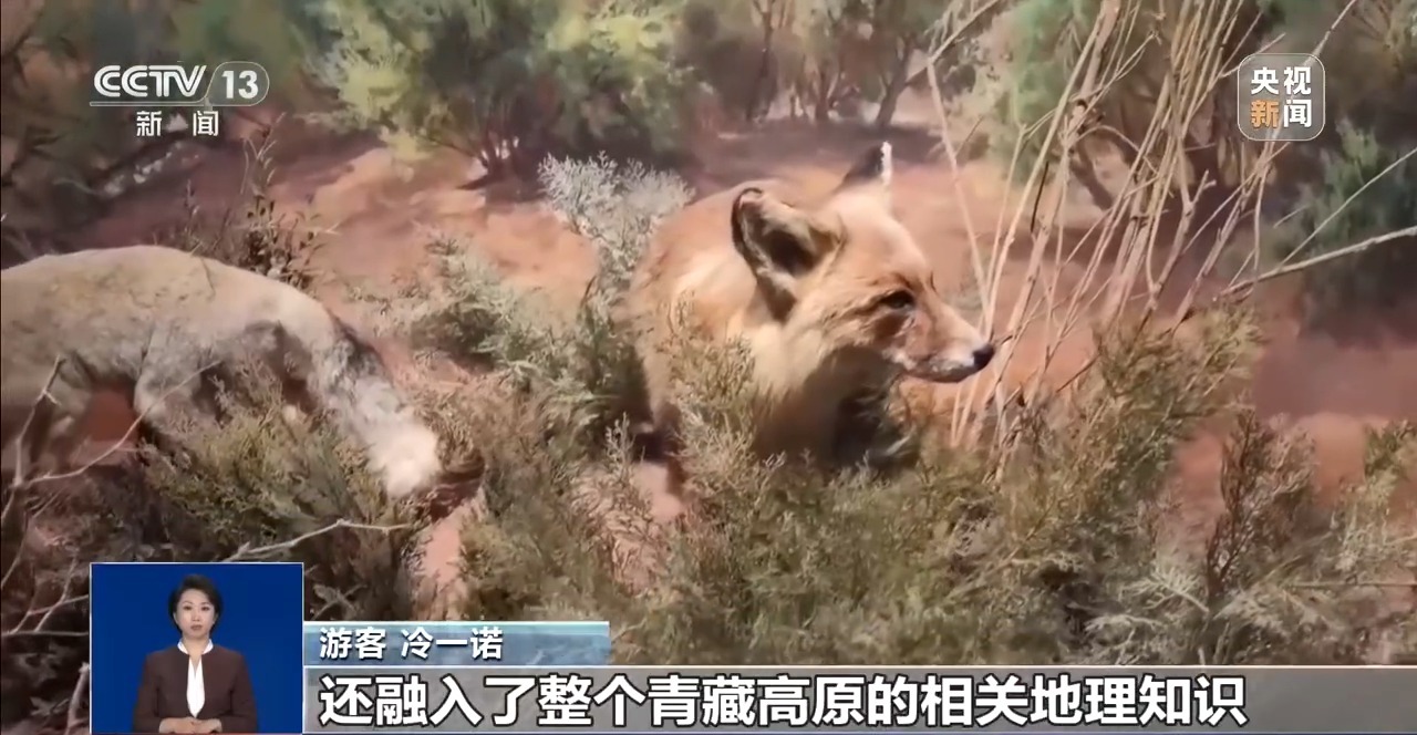 
济南市儿童医院马香医生黄牛预约代挂号电话暑期过半文旅热度持续攀升 文博科技馆成亲子出游首选
