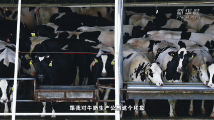 南方医科大学南方医院周元平医生黄牛预约代挂号电话经济政策一线微观察|流水线变风景线,暑期“工厂游”火了