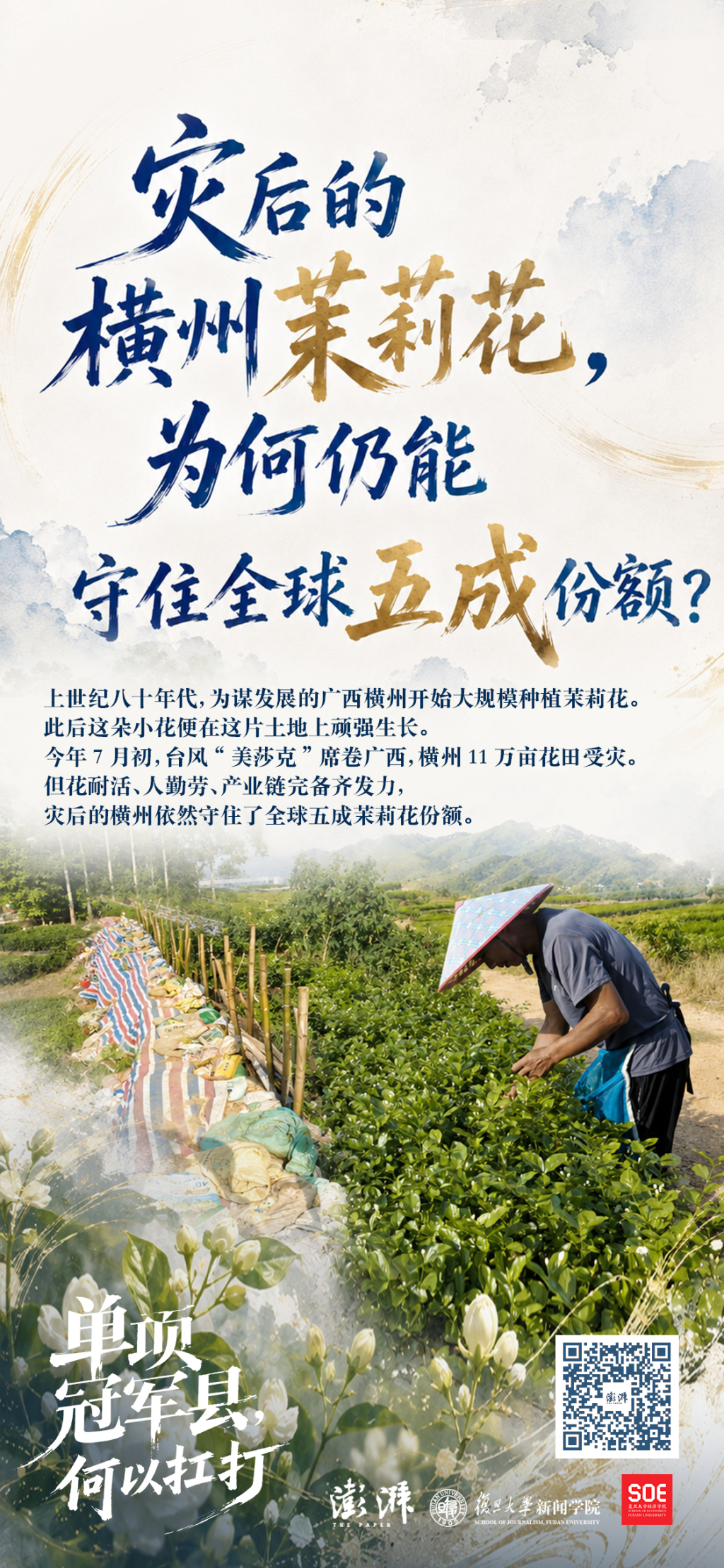 
广州市花都区人民医院黄牛号贩子票贩子代网上预约代挂号电话单项冠军县，何以扛打丨灾后横州茉莉花为何仍能守住全球五成份额