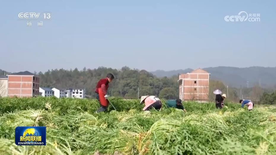 
安定医院黄牛号贩子票贩子代网上预约代挂号电话【新思想引领新征程】做大“蛋糕”缩小差距 浙江扎实推进共同富裕示范区建设