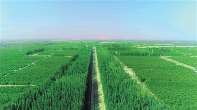 
北京大学第六医院刘靖医生黄牛预约代挂号电话柯柯牙的三种味道