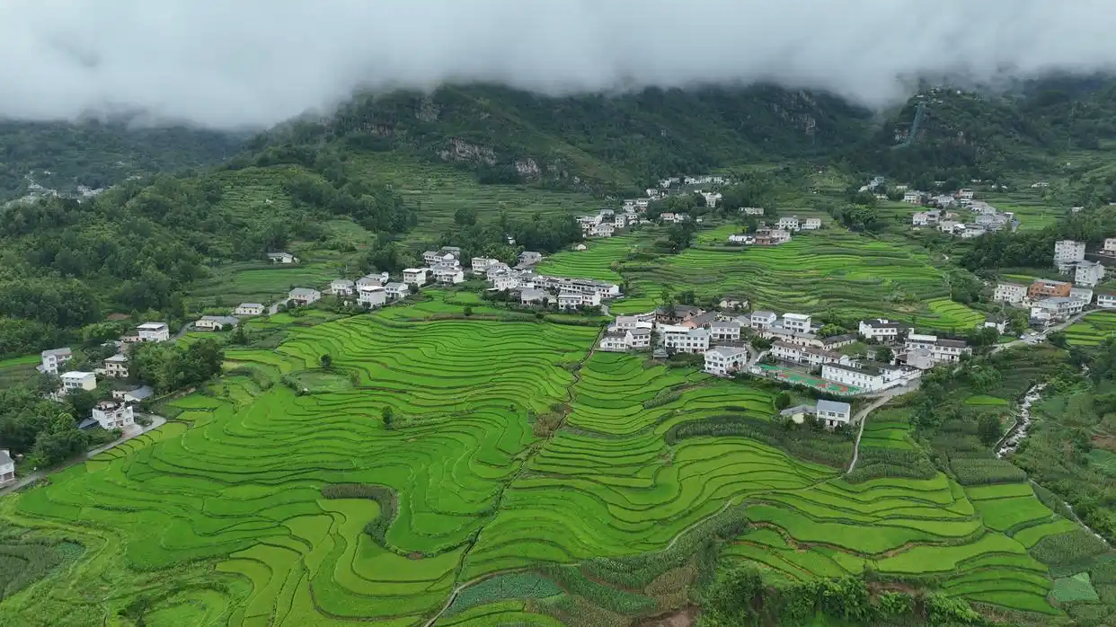 
上海复旦大学附属华山医院赵重波医生黄牛预约代挂号电话理响中国·质胜新时代丨让绿水青山生长出“绿色算法”