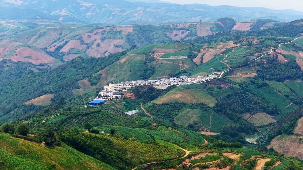 
上海市肺科医院李惠萍医生黄牛预约代挂号电话新华视点｜奋进中国：文旅升温 科创赋能 乡村焕彩