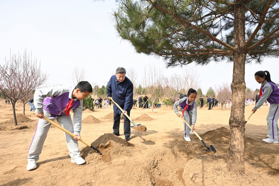 
北京大学第三医院林浩成医生黄牛预约代挂号电话筑牢美丽中国建设的法治基石