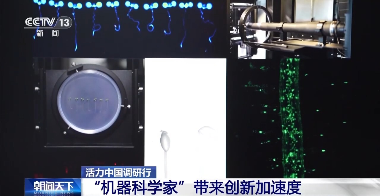 
中南大学湘雅三医院西京医院聂勇战刘学东邓艳春王延李同斌于瑞黄牛挂号电话活力中国调研行丨从造梦到造物！博士生用新材料造出消防“铠甲”