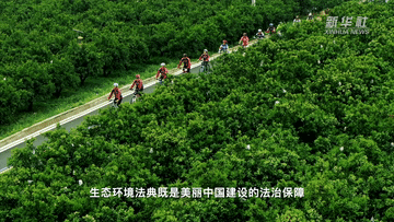 
复旦大学中山医院周俭医生黄牛预约代挂号电话生态环境法典施行：以高水平法治护航美丽中国建设
