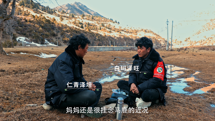 
重庆医科大学附属医院李凡医生黄牛预约代挂号电话青藏高原上的“生命接力”：一家两代人与马鹿的半世纪之约