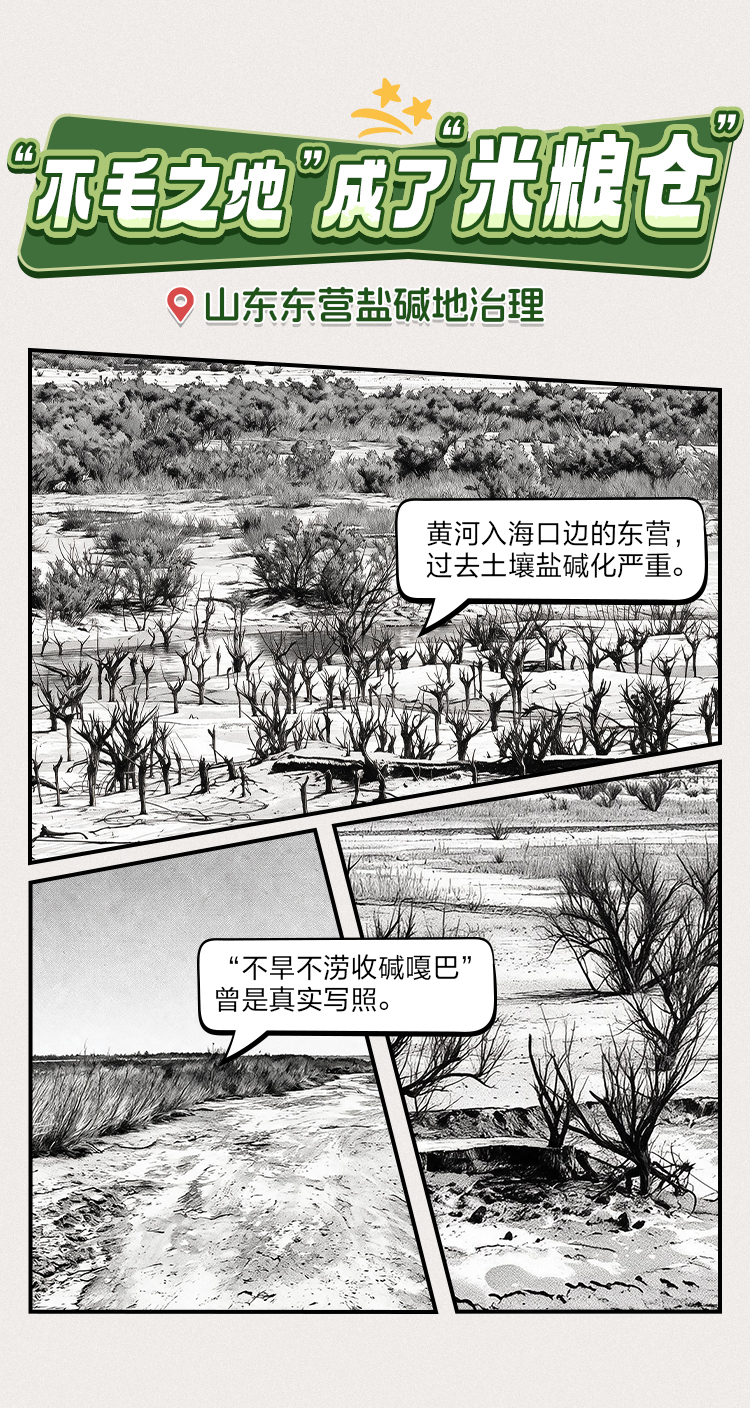 
广州医科大学附属第三医院黄牛号贩子票贩子代网上预约代挂号电话这些地方，大变样！