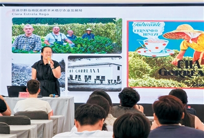 十年植茶 香连中欧（侨界关注）