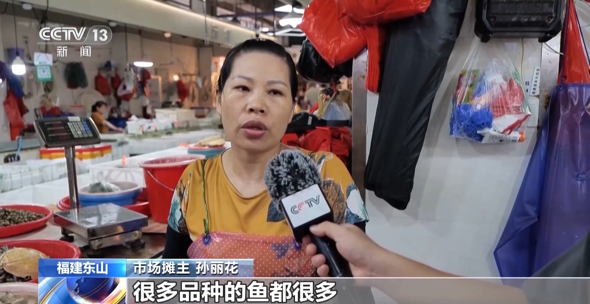 
上海胸科医院黄牛号贩子票贩子代网上预约代挂号电话视频丨开渔“第一网”新鲜上市！多地海鲜迎来供销高峰
