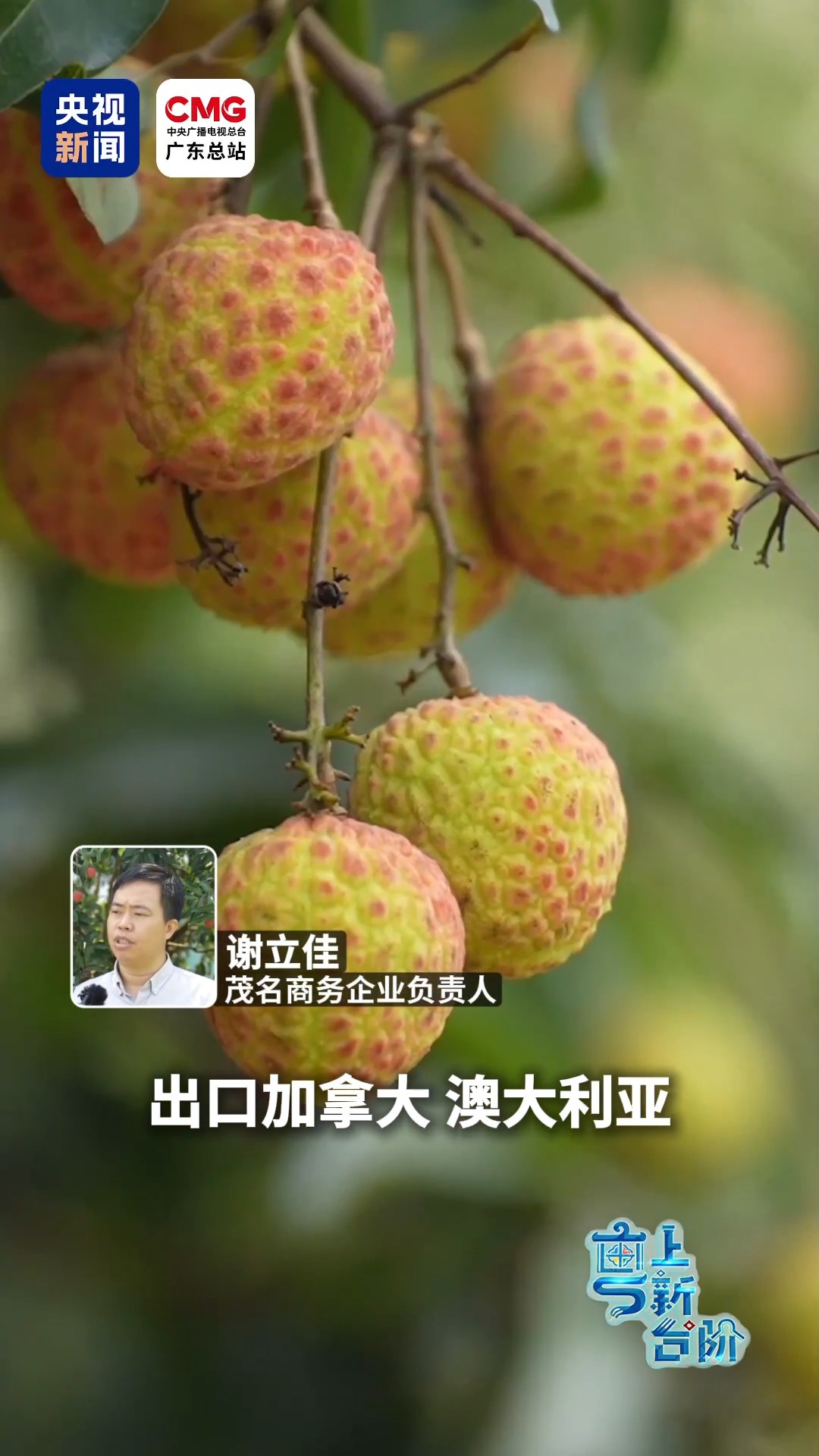 
中南大学湘雅二医院符淳医生黄牛预约代挂号电话“粤”上新台阶丨从“三蚊鸡到巴西”到广货卖全球 粤西好物闯出大市场