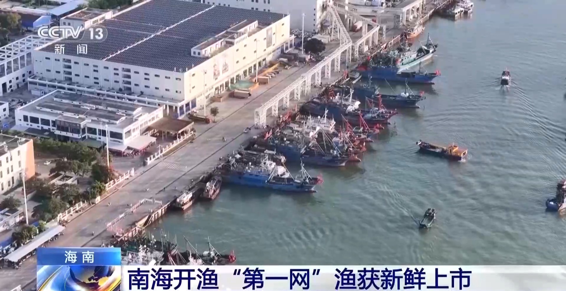 
上海胸科医院黄牛号贩子票贩子代网上预约代挂号电话视频丨开渔“第一网”新鲜上市！多地海鲜迎来供销高峰