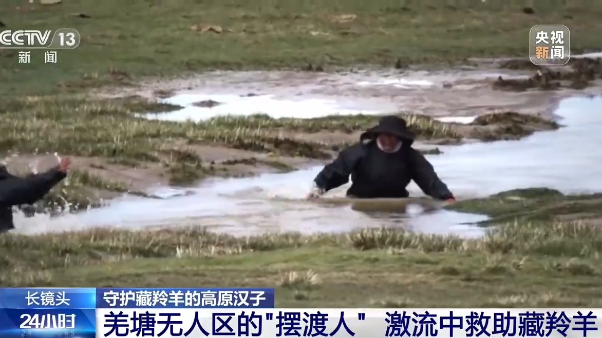
中国中医科学院西苑医院张翠珍医生黄牛预约代挂号电话从“摆渡人”到“奶爸” 高原汉子在生命禁区守护藏羚羊