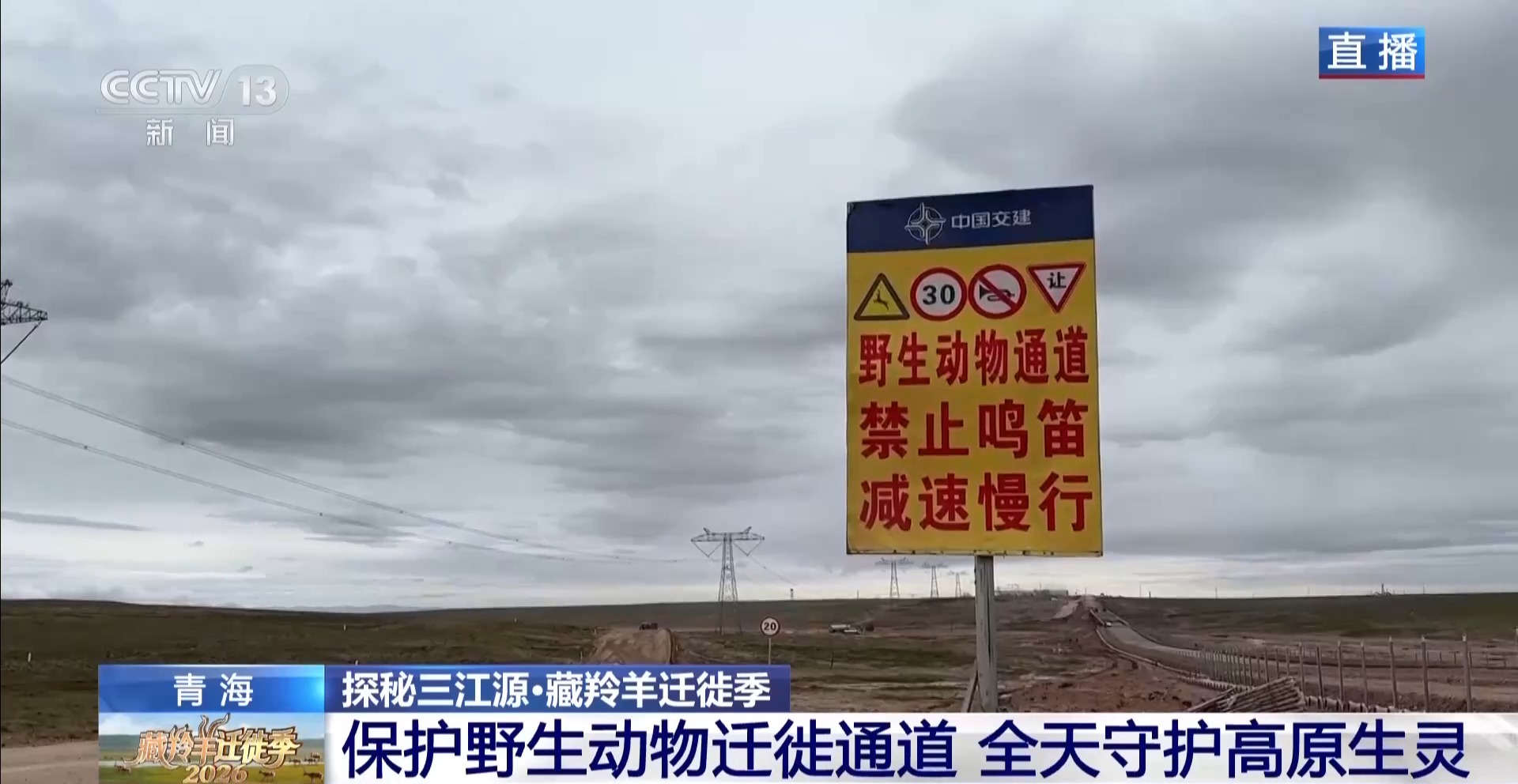 
北京协和医院王孟昭医生黄牛预约代挂号电话藏羚羊带娃回家啦！青藏公路开启“静音模式”