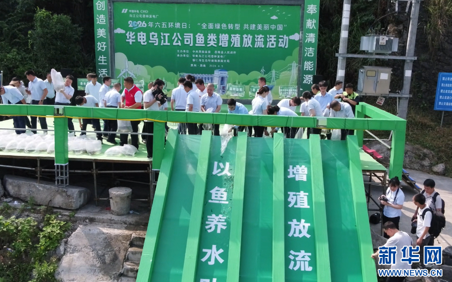 
上海交通大学医学院附属仁济医院刘炜医生黄牛预约代挂号电话长江十年行丨清波之上 鱼群作答