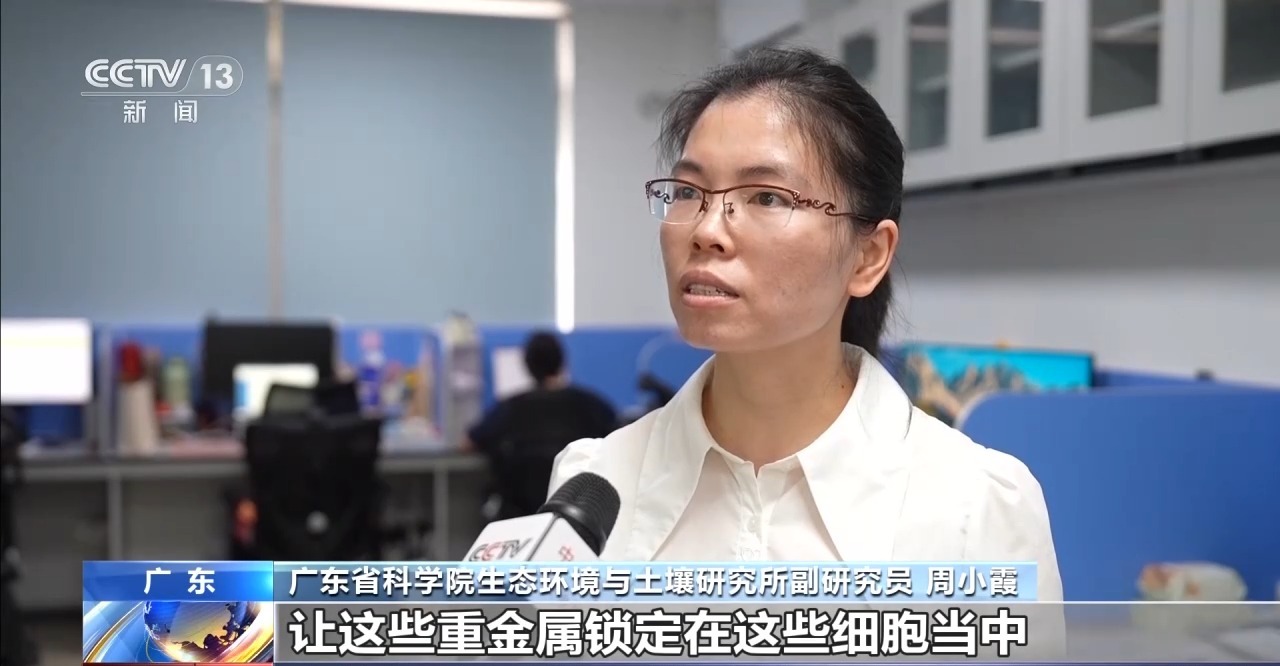 
山东省立医院王正军医生黄牛预约代挂号电话年中经济观察丨支持科技创新 让科研人员心无旁骛潜心钻研