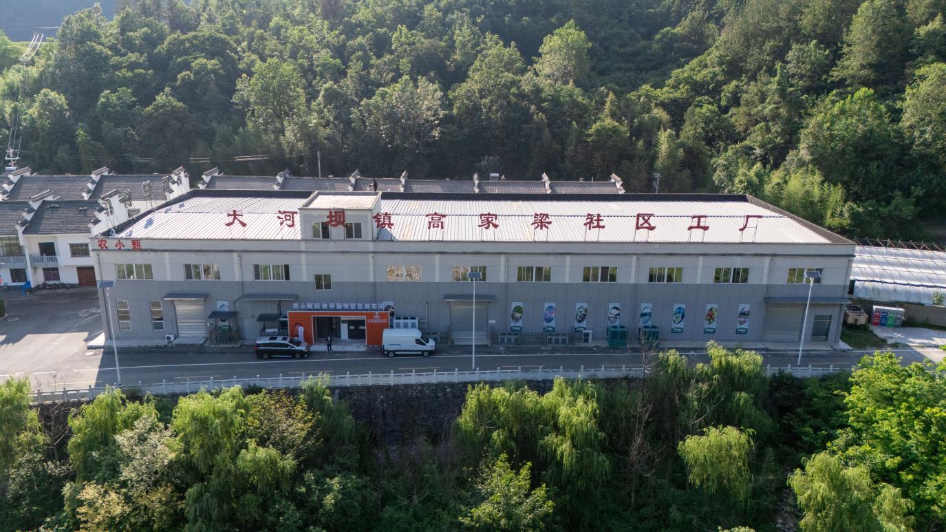 
北京大学第三医院马彩虹医生黄牛预约代挂号电话这座秦岭小城在绿水青山间蹚出“共富路”