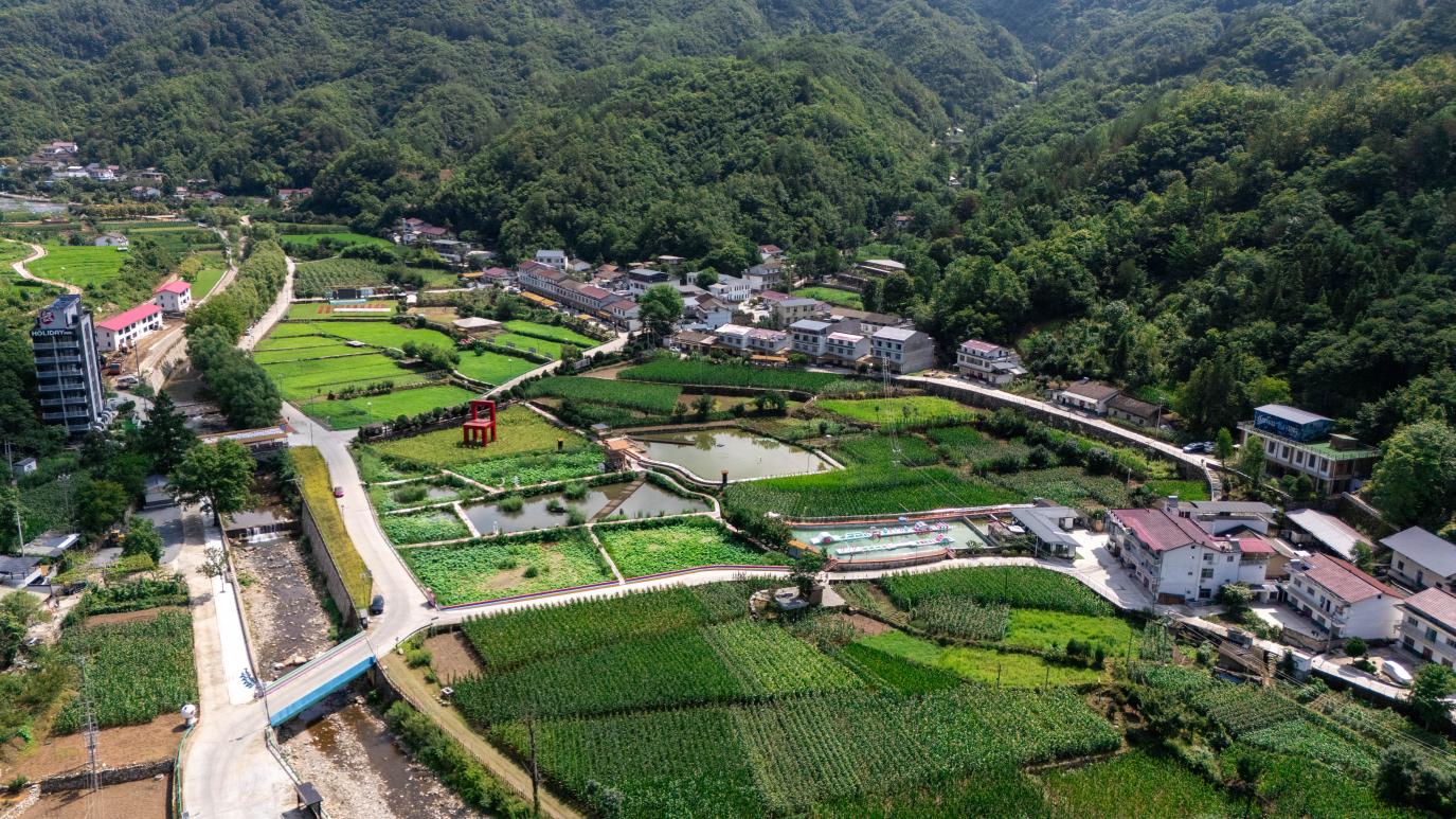
北京大学第三医院马彩虹医生黄牛预约代挂号电话这座秦岭小城在绿水青山间蹚出“共富路”