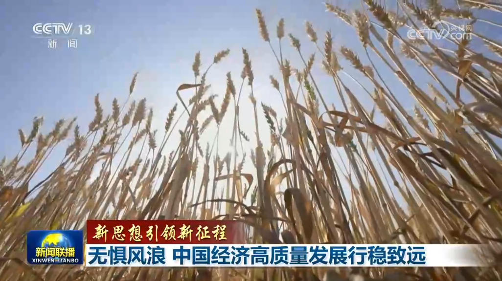 
浙江省肿瘤医院张英丽医生黄牛预约代挂号电话【新思想引领新征程】无惧风浪 中国经济高质量发展行稳致远