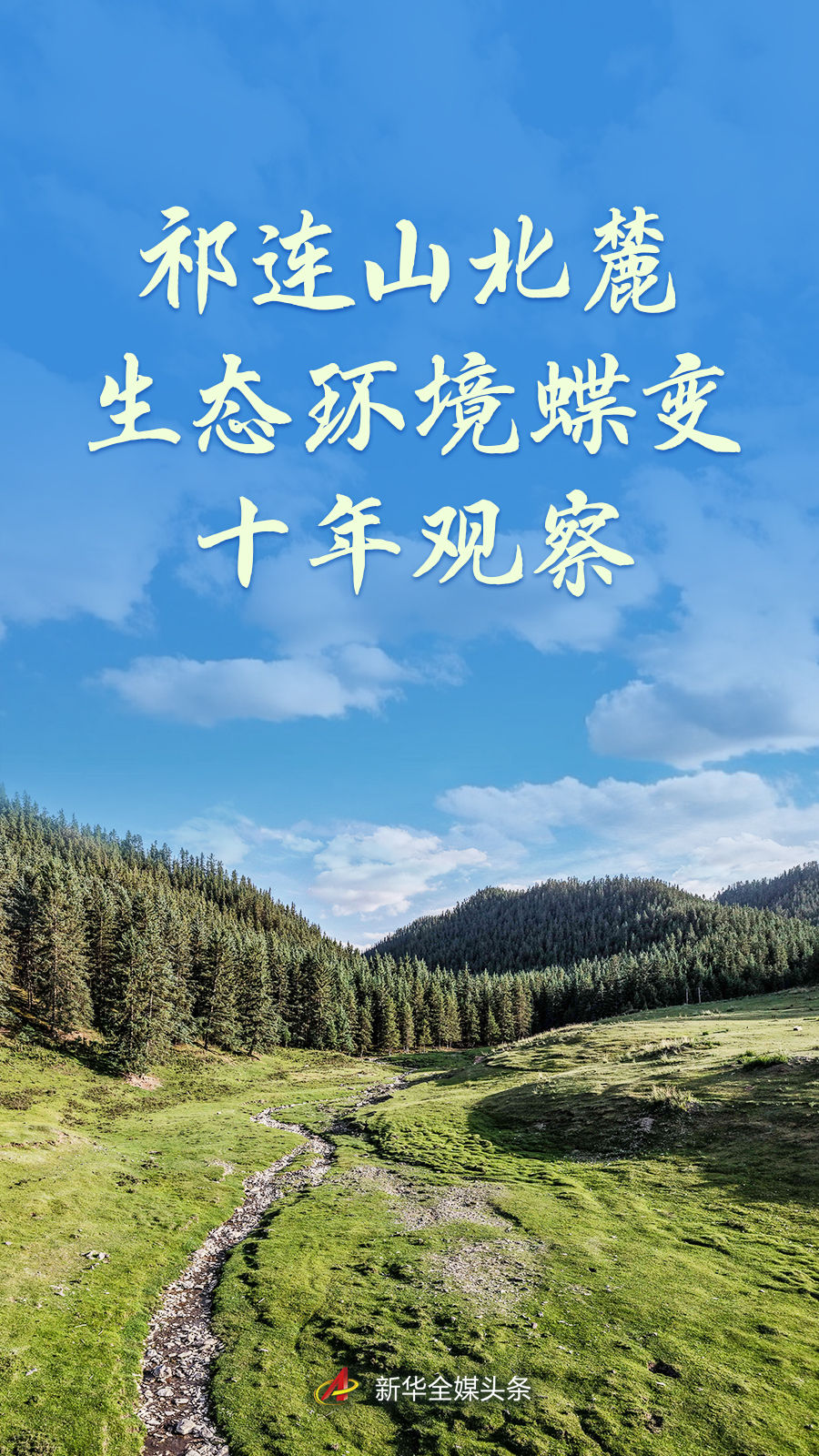 
北京同仁医院朱晓青医生黄牛预约代挂号电话祁连山北麓生态环境蝶变十年观察