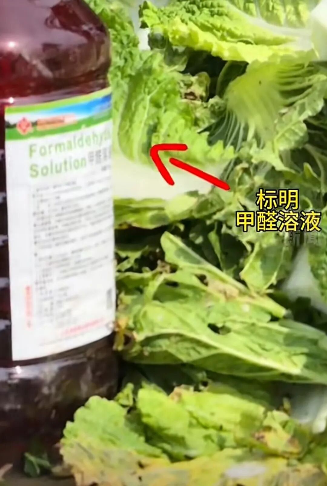 
南京市中医院黄牛号贩子票贩子代网上预约代挂号电话【侠客岛】彻查“甲醛白菜”，更要举一反三