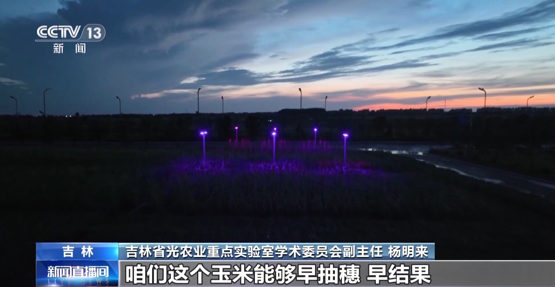 
上海市肺科医院李爱武医生黄牛预约代挂号电话玉米照上红蓝光！黑土地粮食稳产增产有新招
