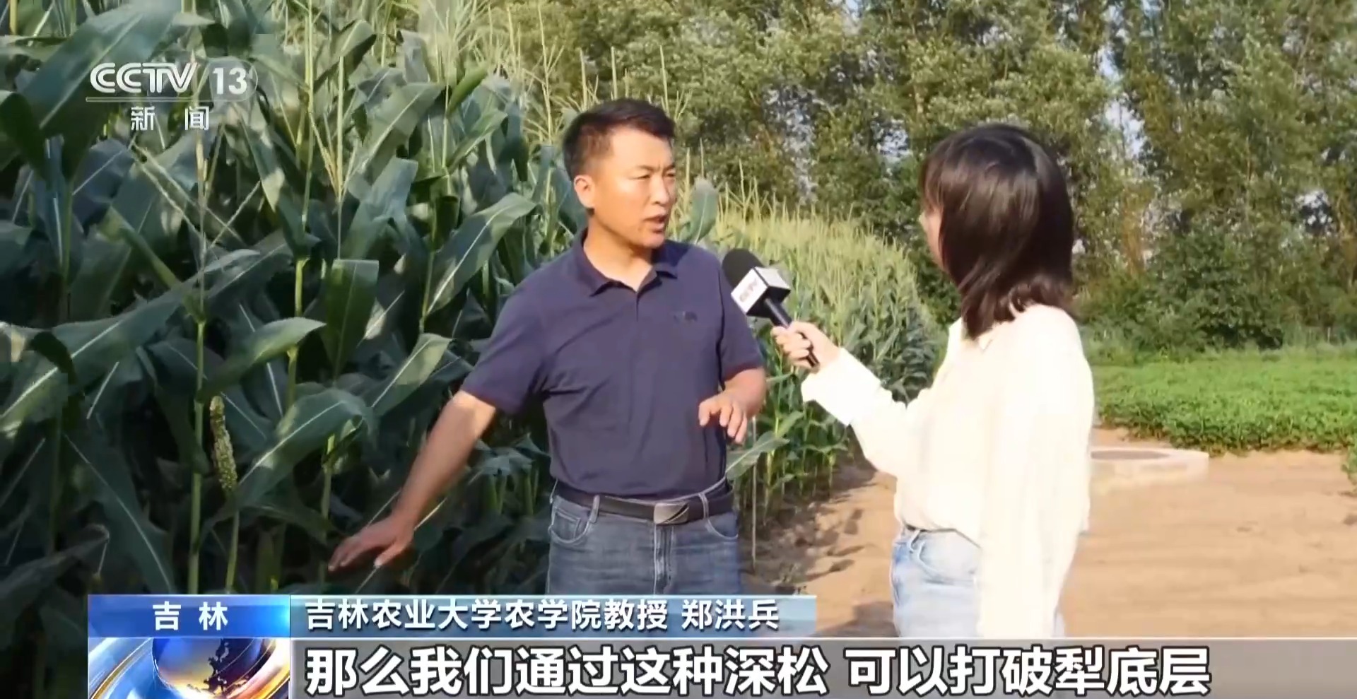 
上海市肺科医院李爱武医生黄牛预约代挂号电话玉米照上红蓝光！黑土地粮食稳产增产有新招