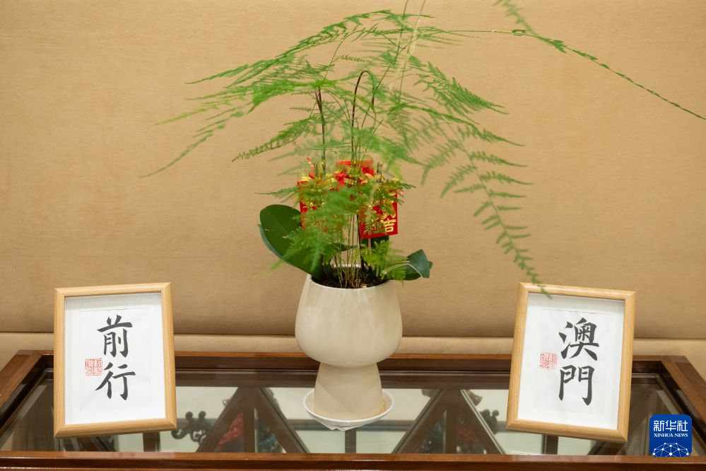 中南大学湘雅三医院西京医院邓艳春医生黄牛预约代挂号电话上下纵横,澳门前行——澳门特区行政长官岑浩辉解读“三五”规划