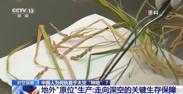 
济南市儿童医院马香医生黄牛预约代挂号电话时空观察丨从蔬菜到水稻 中国人为何执着于太空“种地”？
