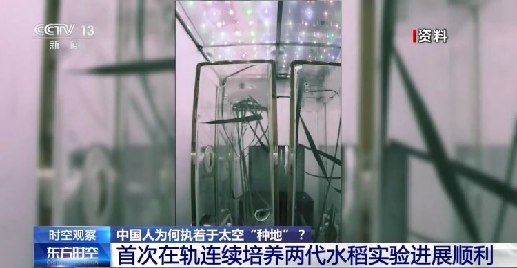 
济南市儿童医院马香医生黄牛预约代挂号电话时空观察丨从蔬菜到水稻 中国人为何执着于太空“种地”？