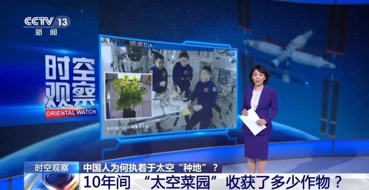 
济南市儿童医院马香医生黄牛预约代挂号电话时空观察丨从蔬菜到水稻 中国人为何执着于太空“种地”？