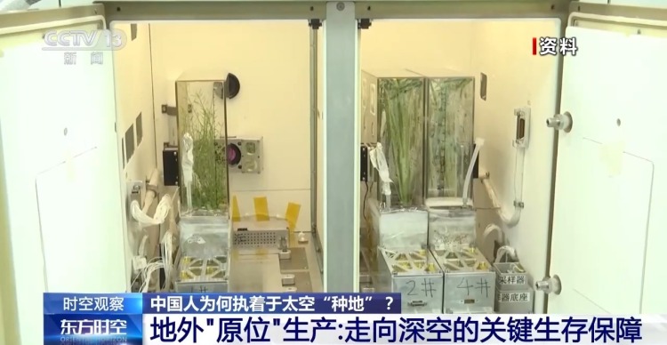 
济南市儿童医院马香医生黄牛预约代挂号电话时空观察丨从蔬菜到水稻 中国人为何执着于太空“种地”？