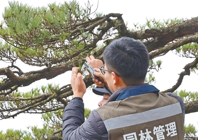 
复旦大学附属肿瘤医院张晓伟医生黄牛预约代挂号电话山峰“轮休” 山岳“常青”（美丽中国·世界自然遗产这样保护）