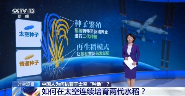 
济南市儿童医院马香医生黄牛预约代挂号电话时空观察丨从蔬菜到水稻 中国人为何执着于太空“种地”？