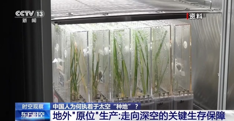 
济南市儿童医院马香医生黄牛预约代挂号电话时空观察丨从蔬菜到水稻 中国人为何执着于太空“种地”？