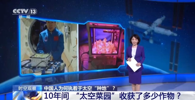 
济南市儿童医院马香医生黄牛预约代挂号电话时空观察丨从蔬菜到水稻 中国人为何执着于太空“种地”？