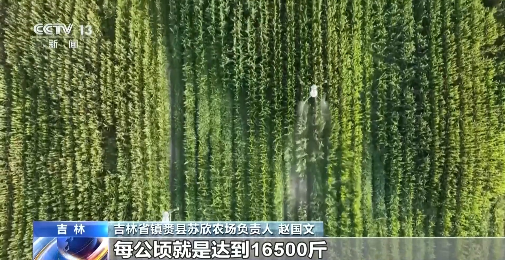 
复旦大学附属眼耳鼻喉科学院徐成志医生黄牛预约代挂号电话年中经济观察丨去产地建工厂 “飞地粮仓”探索跨省协作新样板