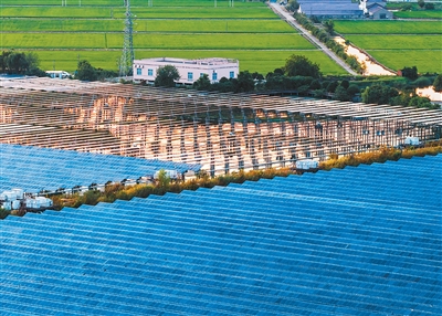 
中国医学科学院邱斌医生黄牛预约代挂号电话到2030年新型电力系统初步建成（锐财经）
